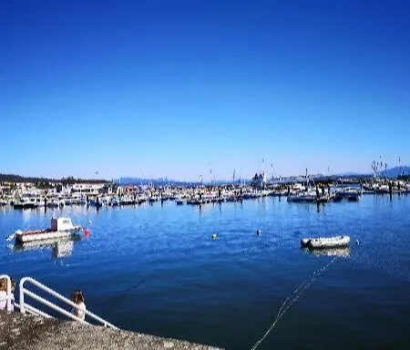 Atico Al Lado Del Mar,en Rias Baixas דירה Palmeira